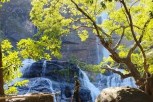 Galeri Open Trip Geopark Ciletuh (2) Galeri Open Trip Geopark Ciletuh (2)