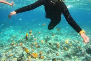 3c16f06f-0329-4634-8437-dba9be7879ed 3c16f06f-0329-4634-8437-dba9be7879ed