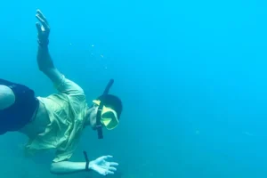 cf194b4d-35d2-4dc8-87db-f97a4ca57c4c cf194b4d-35d2-4dc8-87db-f97a4ca57c4c